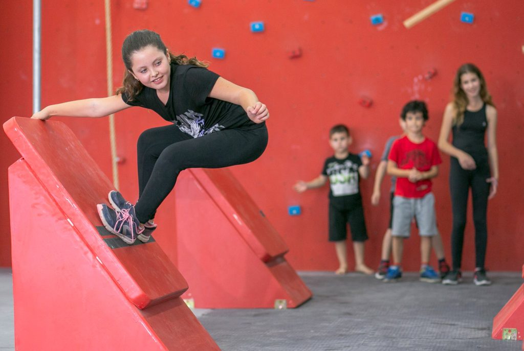 נינג'ה גריזלי